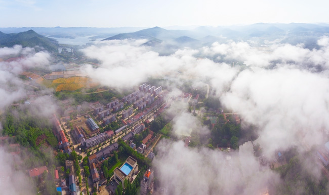 《灵秀太子山》摄影比赛图片欣赏-湖北省太子山林场管理局