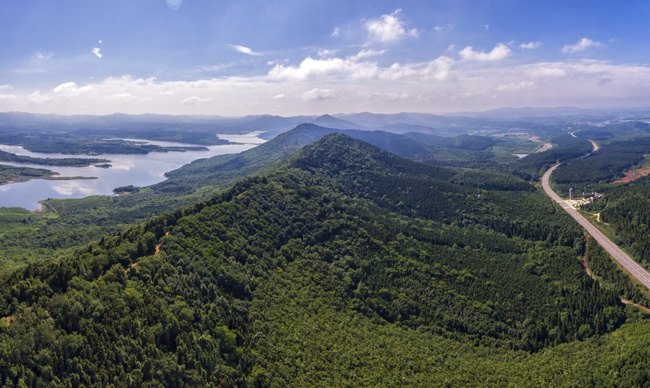 《灵秀太子山》摄影比赛图片欣赏-湖北省太子山林场管理局