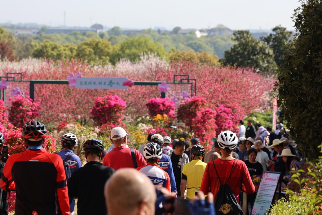 三峡植物园立体花海迎客来