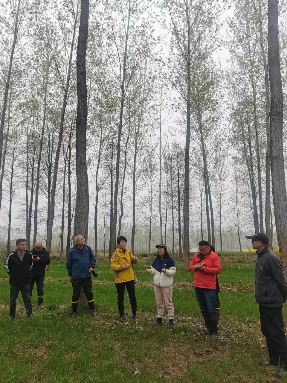 中国林科院苏晓华研究员来我院指导十四五杨树项目实施工作