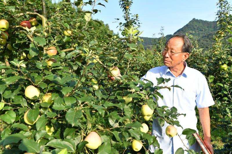 林特产品-湖北省太子山林场管理局